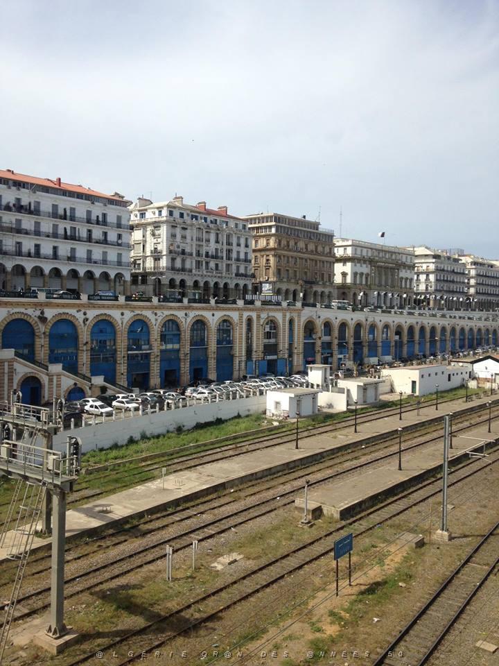 Alger 6.jpg